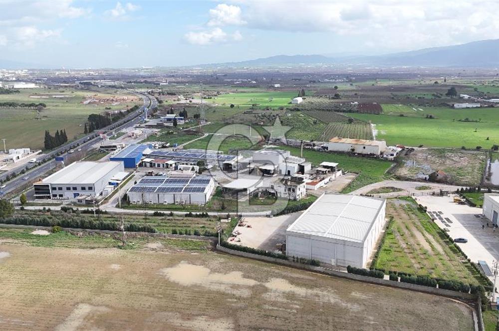 Kemalpaşa Armutlu Kiralık 2000 M2 Kapalı Alan