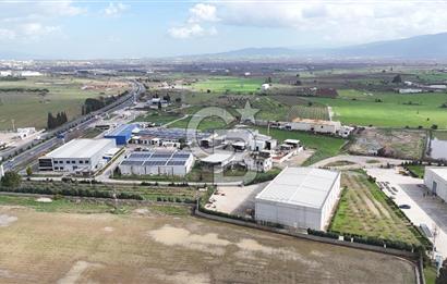 Kemalpaşa Armutlu Kiralık 2000 M2 Kapalı Alan