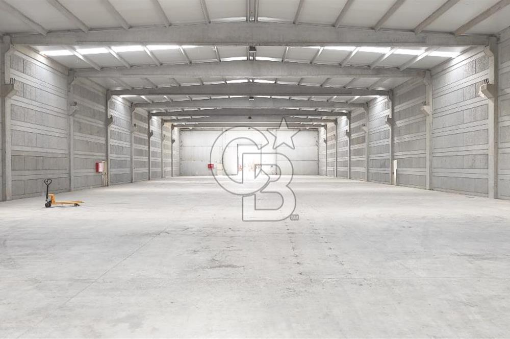 Kemalpaşa Armutlu Kiralık 2000 M2 Kapalı Alan