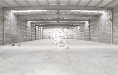 Kemalpaşa Armutlu Kiralık 2000 M2 Kapalı Alan