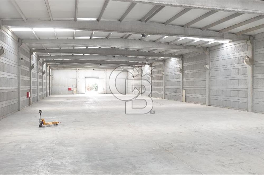 Kemalpaşa Armutlu Kiralık 2000 M2 Kapalı Alan