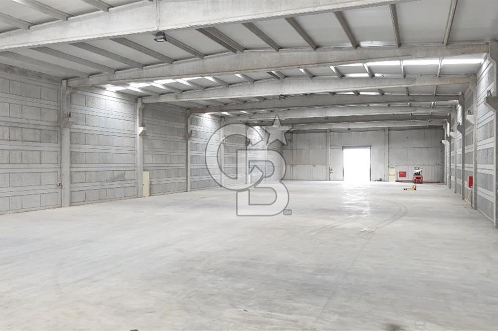 Kemalpaşa Armutlu Kiralık 2000 M2 Kapalı Alan
