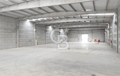 Kemalpaşa Armutlu Kiralık 2000 M2 Kapalı Alan