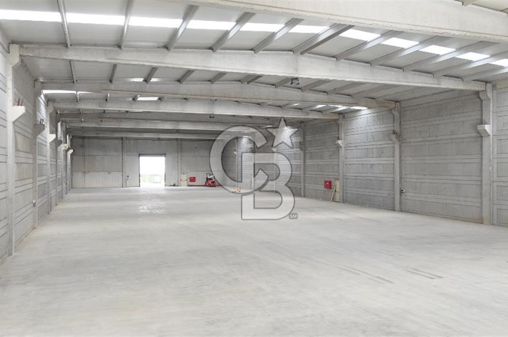Kemalpaşa Armutlu Kiralık 2000 M2 Kapalı Alan
