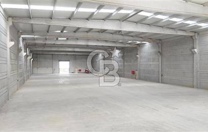 Kemalpaşa Armutlu Kiralık 2000 M2 Kapalı Alan