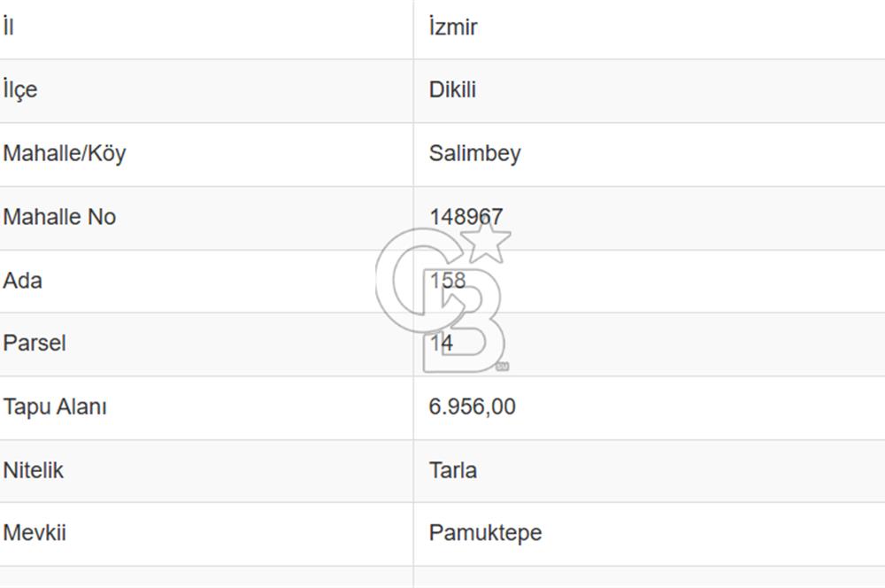 CB ODAK'TAN DİKİLİ SALİMBEY'DE 7 DÖNÜM VERİMLİ TARLA