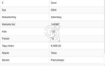 CB ODAK'TAN DİKİLİ SALİMBEY'DE 7 DÖNÜM VERİMLİ TARLA