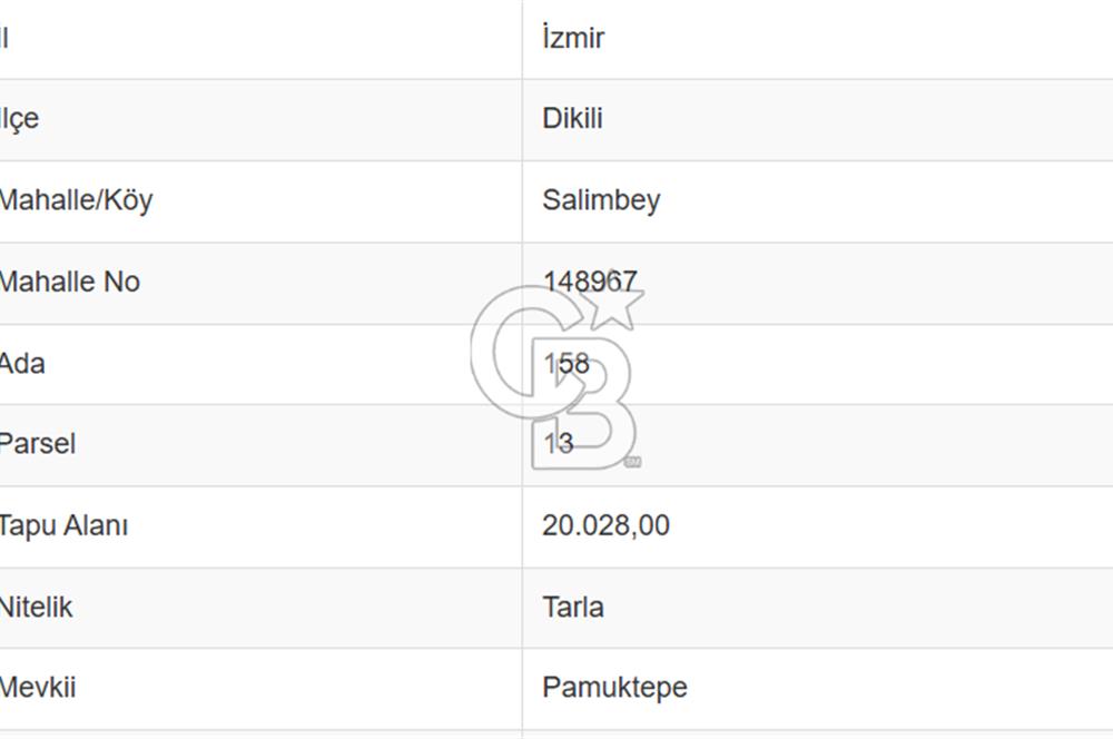 CB ODAK'TAN DİKİLİ SALİMBEY'DE 20 DÖNÜM VERİMLİ TARLA