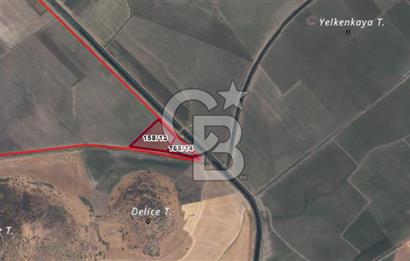 CB ODAK'TAN DİKİLİ SALİMBEY'DE 7 DÖNÜM VERİMLİ TARLA