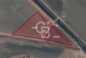 CB ODAK'TAN DİKİLİ SALİMBEY'DE 20 DÖNÜM VERİMLİ TARLA - 6 - 334753