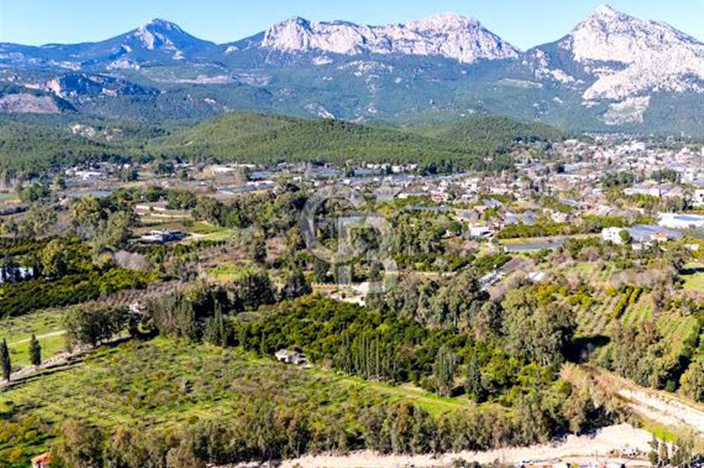 ÇAKIRLAR MERKEZDE ŞEHİR MERKEZİNE ÇOK YAKIN 1610 M2