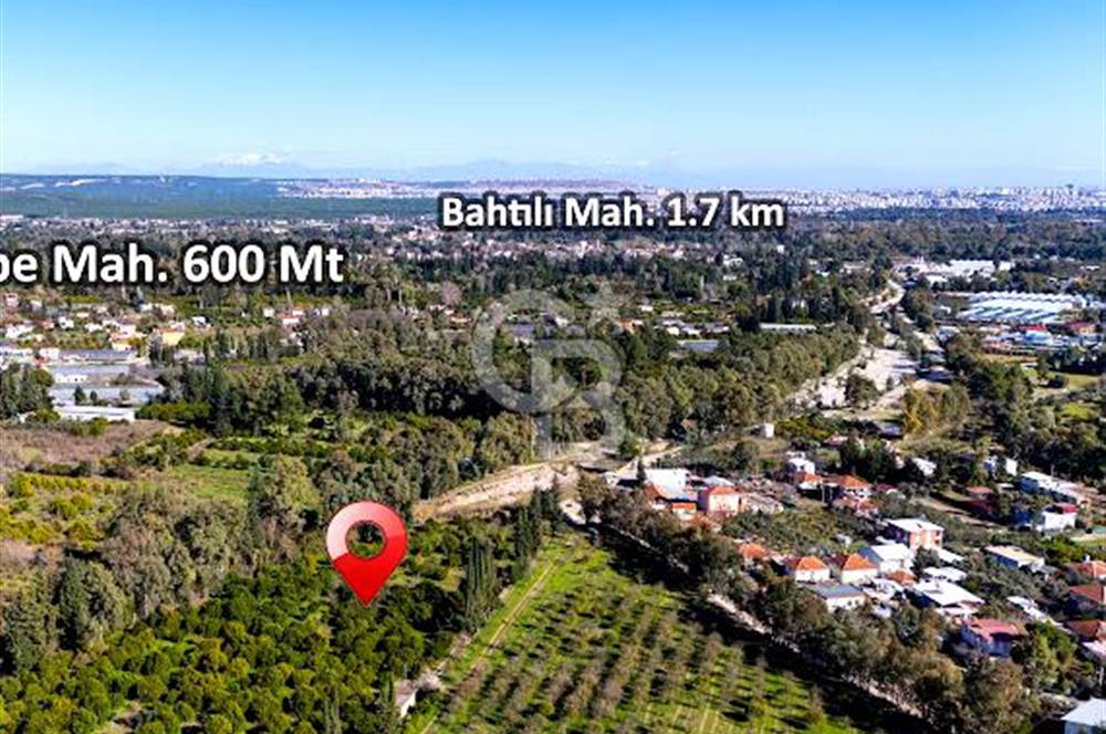 ÇAKIRLAR MERKEZDE ŞEHİR MERKEZİNE ÇOK YAKIN 1610 M2