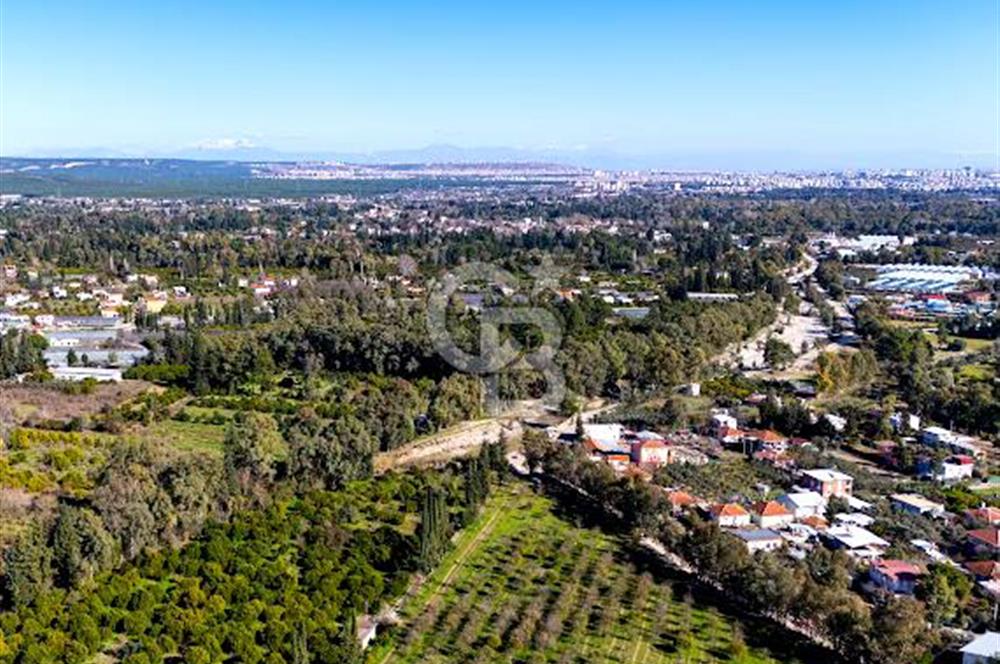 ÇAKIRLAR MERKEZDE ŞEHİR MERKEZİNE ÇOK YAKIN 1610 M2