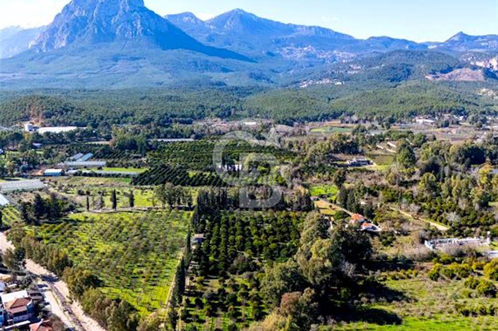 ÇAKIRLAR MERKEZDE ŞEHİR MERKEZİNE ÇOK YAKIN 1610 M2