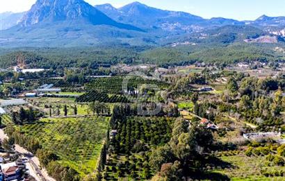 ÇAKIRLAR MERKEZDE ŞEHİR MERKEZİNE ÇOK YAKIN 1610 M2