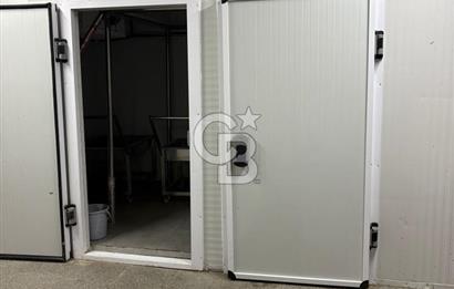 ANKARA DİKMEN SİNAN CAD. DEVREN KİRALIK KASAP VE ŞARKÜTERİ DÜKKANI