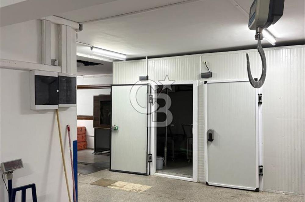 ANKARA DİKMEN SİNAN CAD. DEVREN KİRALIK KASAP VE ŞARKÜTERİ DÜKKANI