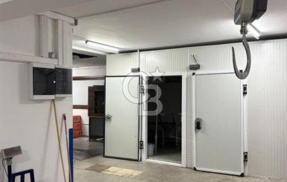 ANKARA DİKMEN SİNAN CAD. DEVREN KİRALIK KASAP VE ŞARKÜTERİ DÜKKANI