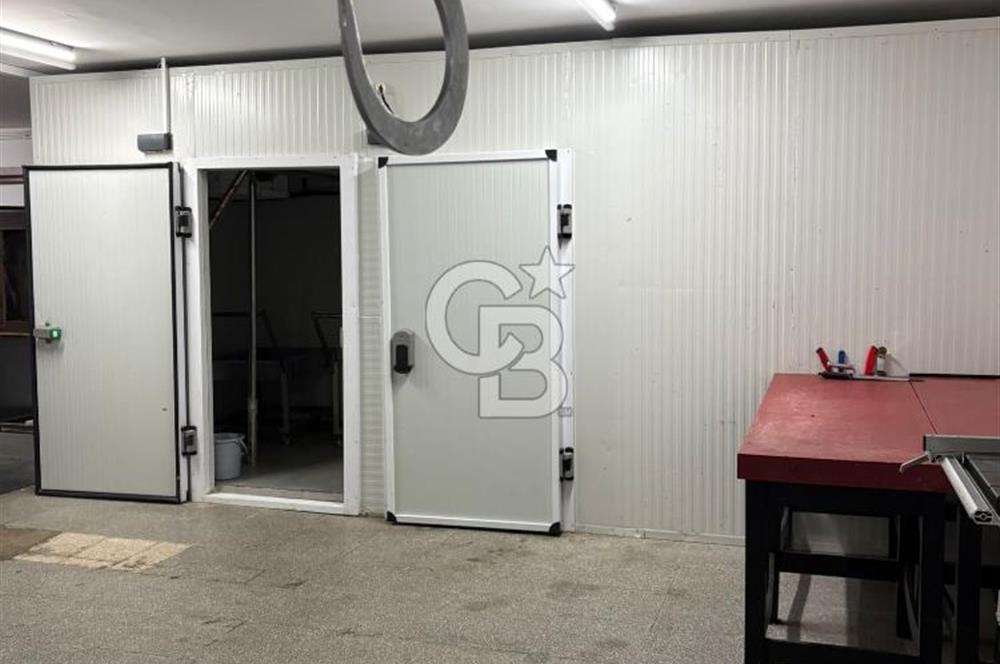 ANKARA DİKMEN SİNAN CAD. DEVREN KİRALIK KASAP VE ŞARKÜTERİ DÜKKANI