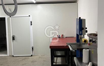 ANKARA DİKMEN SİNAN CAD. DEVREN KİRALIK KASAP VE ŞARKÜTERİ DÜKKANI