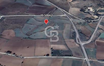 Çan Durali’de Ana Yola Yakın, 16.600 m² Geniş Satılık Tarla