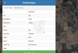 Çan Durali’de Ana Yola Yakın, 16.600 m² Geniş Satılık Tarla - 1 - 334909
