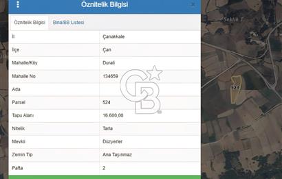 Çan Durali’de Ana Yola Yakın, 16.600 m² Geniş Satılık Tarla
