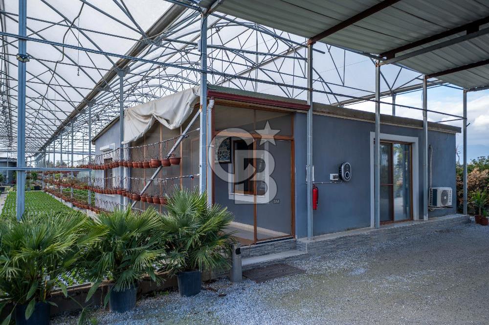 BÖLGENİN EN BÜYÜK SERASI GÜNER ÇİÇEKÇİLİK SATILIK