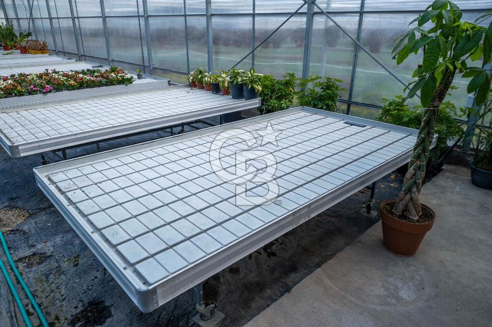 BÖLGENİN EN BÜYÜK SERASI GÜNER ÇİÇEKÇİLİK SATILIK