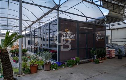 BÖLGENİN EN BÜYÜK SERASI GÜNER ÇİÇEKÇİLİK SATILIK