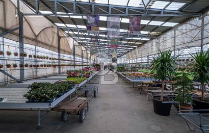 BÖLGENİN EN BÜYÜK SERASI GÜNER ÇİÇEKÇİLİK SATILIK