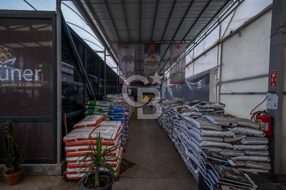 BÖLGENİN EN BÜYÜK SERASI GÜNER ÇİÇEKÇİLİK SATILIK