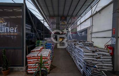 BÖLGENİN EN BÜYÜK SERASI GÜNER ÇİÇEKÇİLİK SATILIK