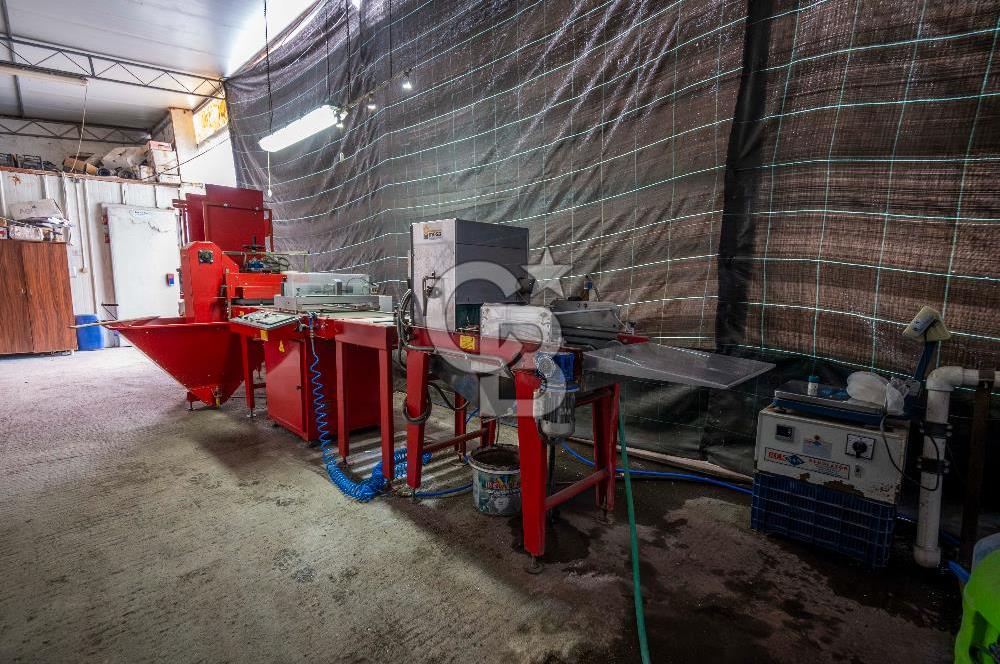 BÖLGENİN EN BÜYÜK SERASI GÜNER ÇİÇEKÇİLİK SATILIK