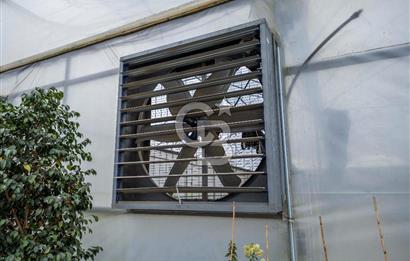 BÖLGENİN EN BÜYÜK SERASI GÜNER ÇİÇEKÇİLİK SATILIK