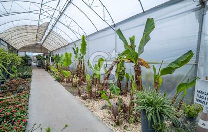 BÖLGENİN EN BÜYÜK SERASI GÜNER ÇİÇEKÇİLİK SATILIK