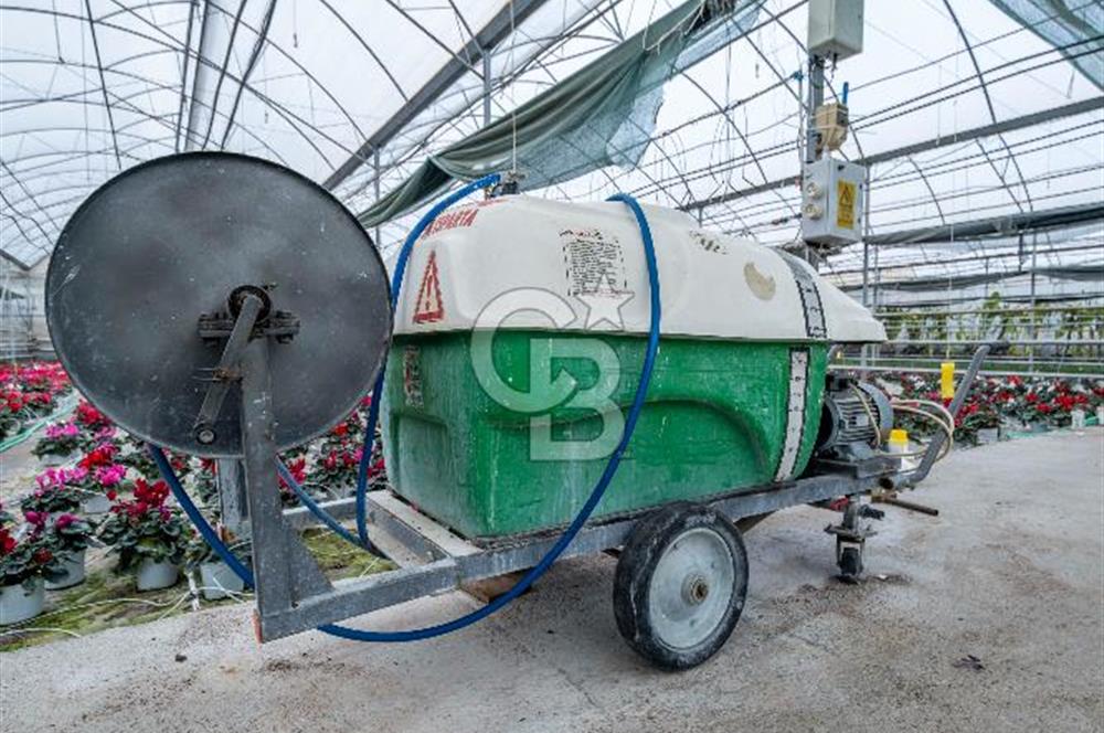 BÖLGENİN EN BÜYÜK SERASI GÜNER ÇİÇEKÇİLİK SATILIK