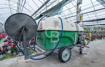 BÖLGENİN EN BÜYÜK SERASI GÜNER ÇİÇEKÇİLİK SATILIK