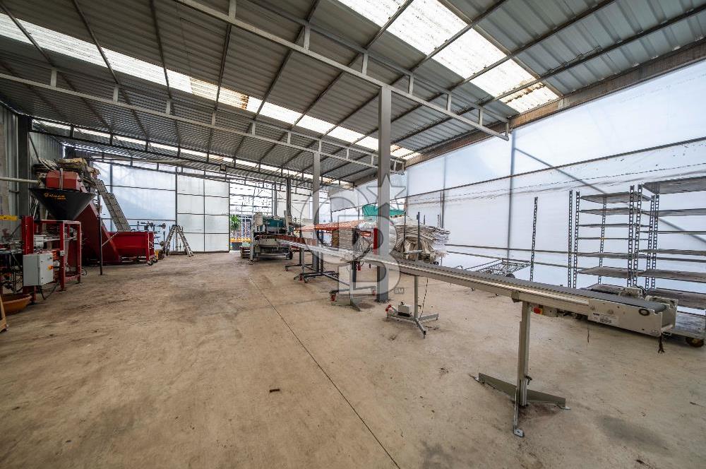 BÖLGENİN EN BÜYÜK SERASI GÜNER ÇİÇEKÇİLİK SATILIK