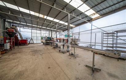 BÖLGENİN EN BÜYÜK SERASI GÜNER ÇİÇEKÇİLİK SATILIK