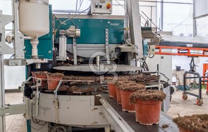 BÖLGENİN EN BÜYÜK SERASI GÜNER ÇİÇEKÇİLİK SATILIK