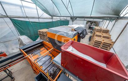 BÖLGENİN EN BÜYÜK SERASI GÜNER ÇİÇEKÇİLİK SATILIK