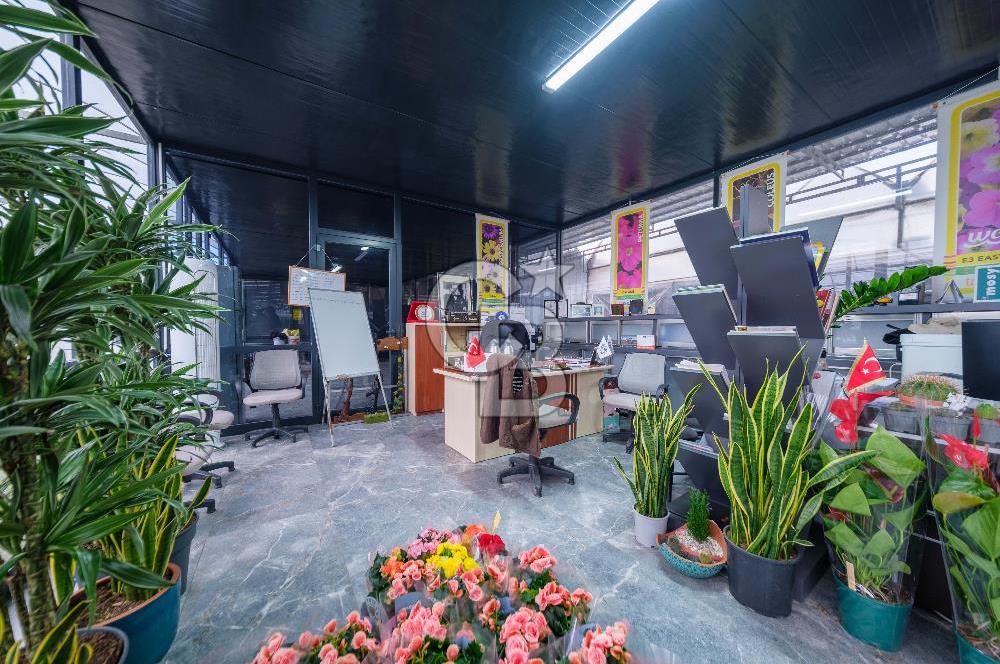 BÖLGENİN EN BÜYÜK SERASI GÜNER ÇİÇEKÇİLİK SATILIK