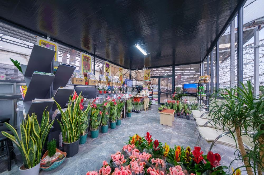 BÖLGENİN EN BÜYÜK SERASI GÜNER ÇİÇEKÇİLİK SATILIK