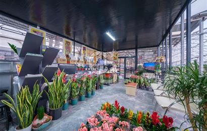 BÖLGENİN EN BÜYÜK SERASI GÜNER ÇİÇEKÇİLİK SATILIK