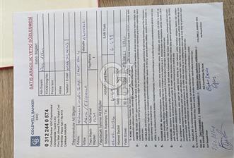 ETİMSSGUT AHİMESUT TA KİLERLİ HARİKA SATILIKDAİRE - 7 - 334951