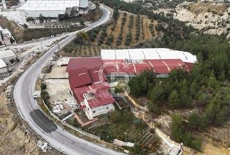 Irlıganlıda 150 kW Elektrikli 850m² Kapalı + 600m² Açık Fabrika - 6 - 334961