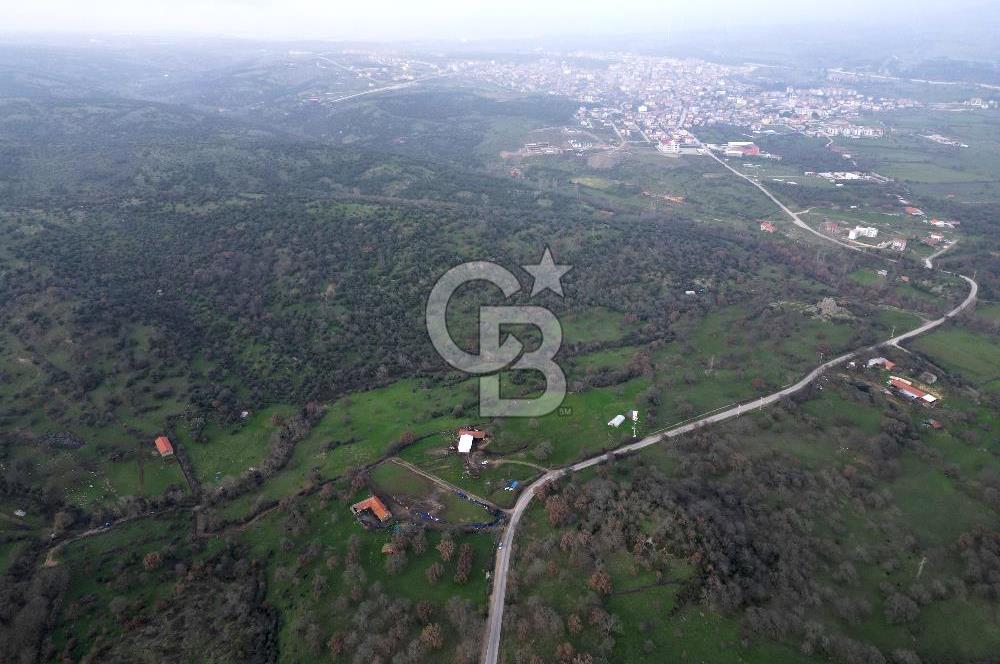 ÇANAKKALE AYVACIK İMAR SINIRINDA 122 DÖNÜM TEKTAPU SATILIK ARAZİ