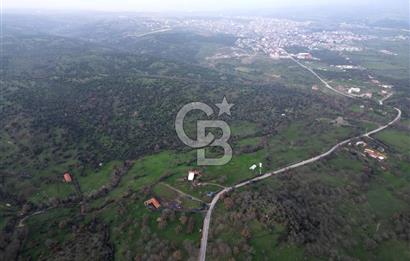 ÇANAKKALE AYVACIK İMAR SINIRINDA 122 DÖNÜM TEKTAPU SATILIK ARAZİ