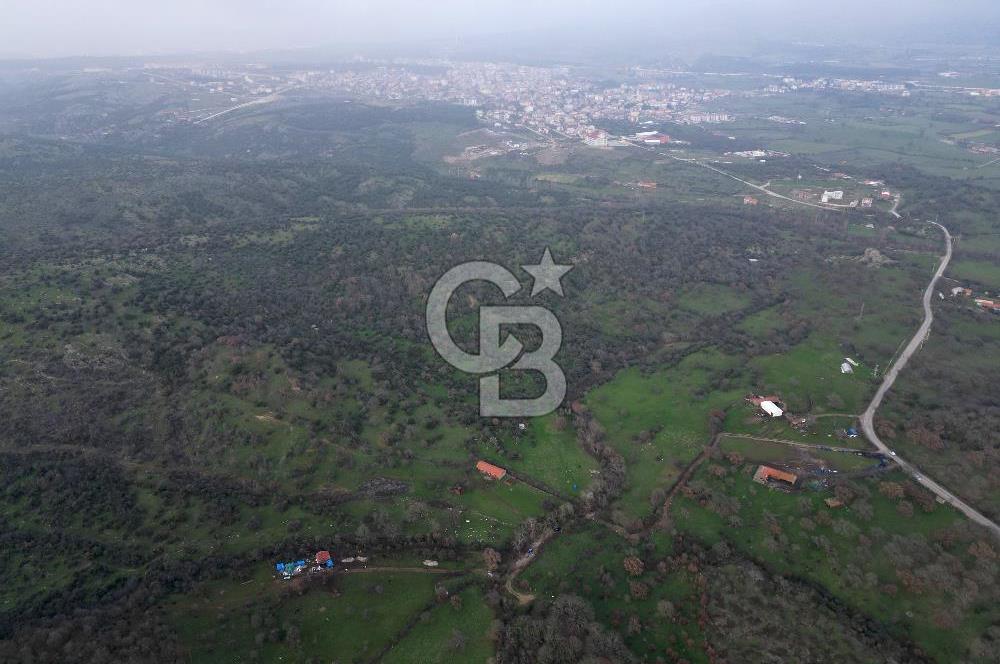 ÇANAKKALE AYVACIK İMAR SINIRINDA 122 DÖNÜM TEKTAPU SATILIK ARAZİ